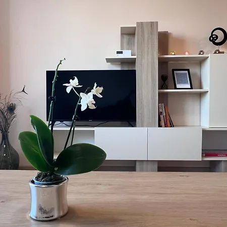 Cappuccino Apartment