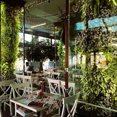 Cappuccino Apartment